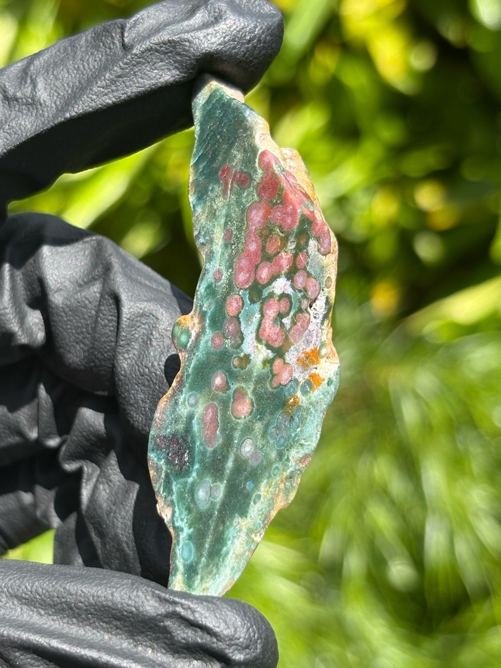 Ocean Jasper Crystal Freeform - Polished Sea Jasper - Orbicular Jasper